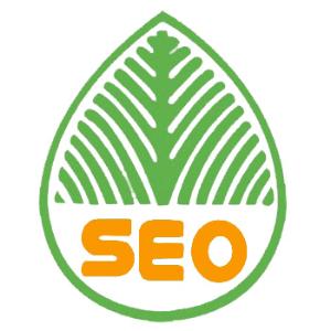 内江提升网站移动适配的注意事项